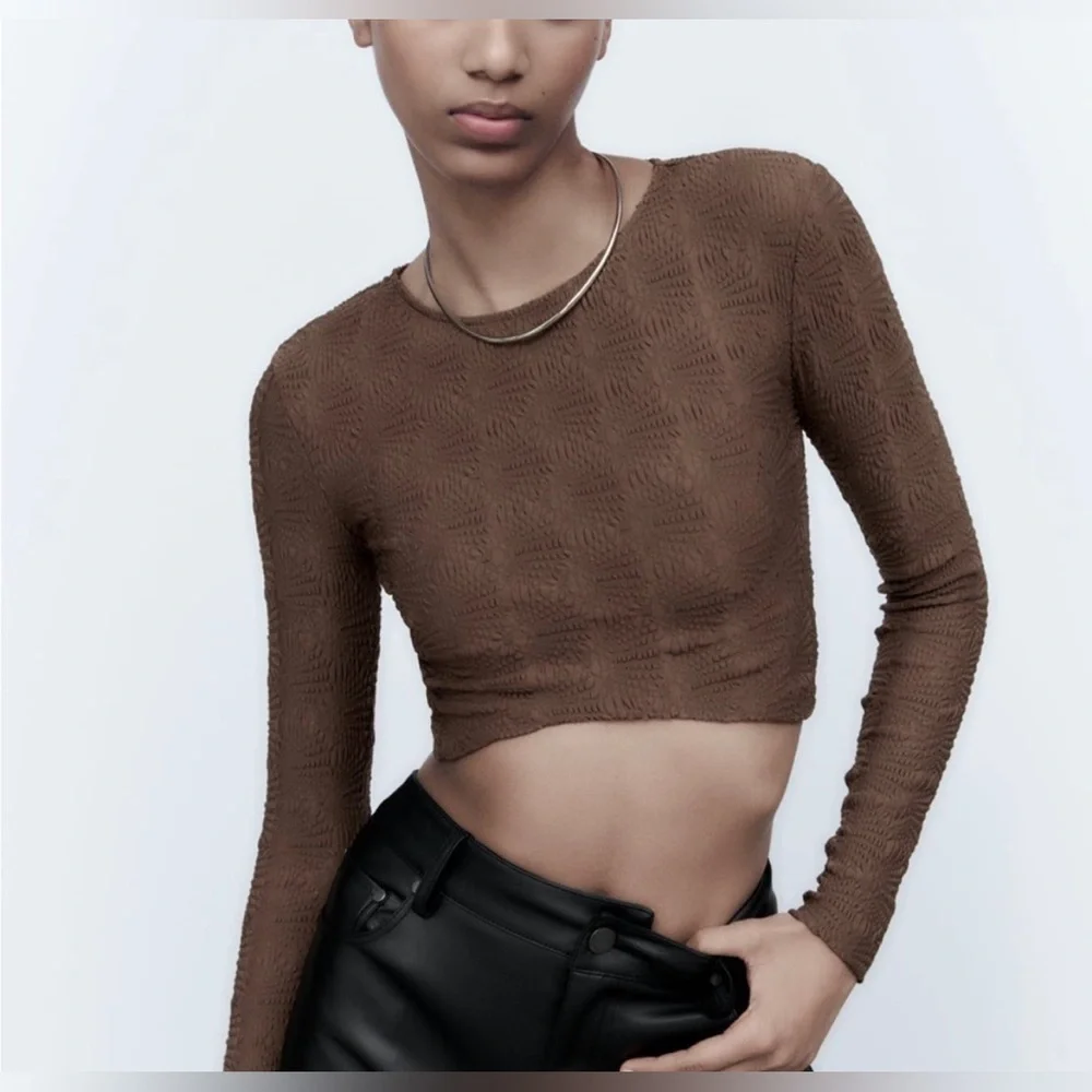 Zara Textured‎ Pointelle Brown Long Sleeve Cropped Top